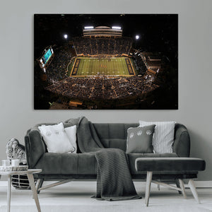 Wake Forest University Demon Deacons Canvas Printi, Football