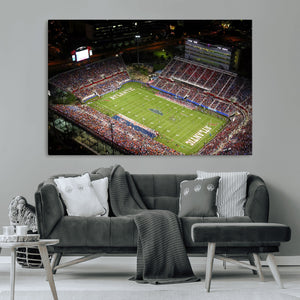 Florida Atlantic University Owls Canvas Print, Football Team