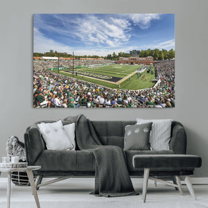 University of Charlotte 49ers Football Team Print -