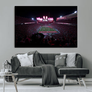 Ohio State University Buckeyes Football Team Print -
