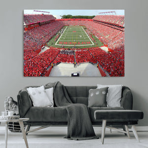 Rutgers Scarlet Knights Football Team Print - Piscataway SHI