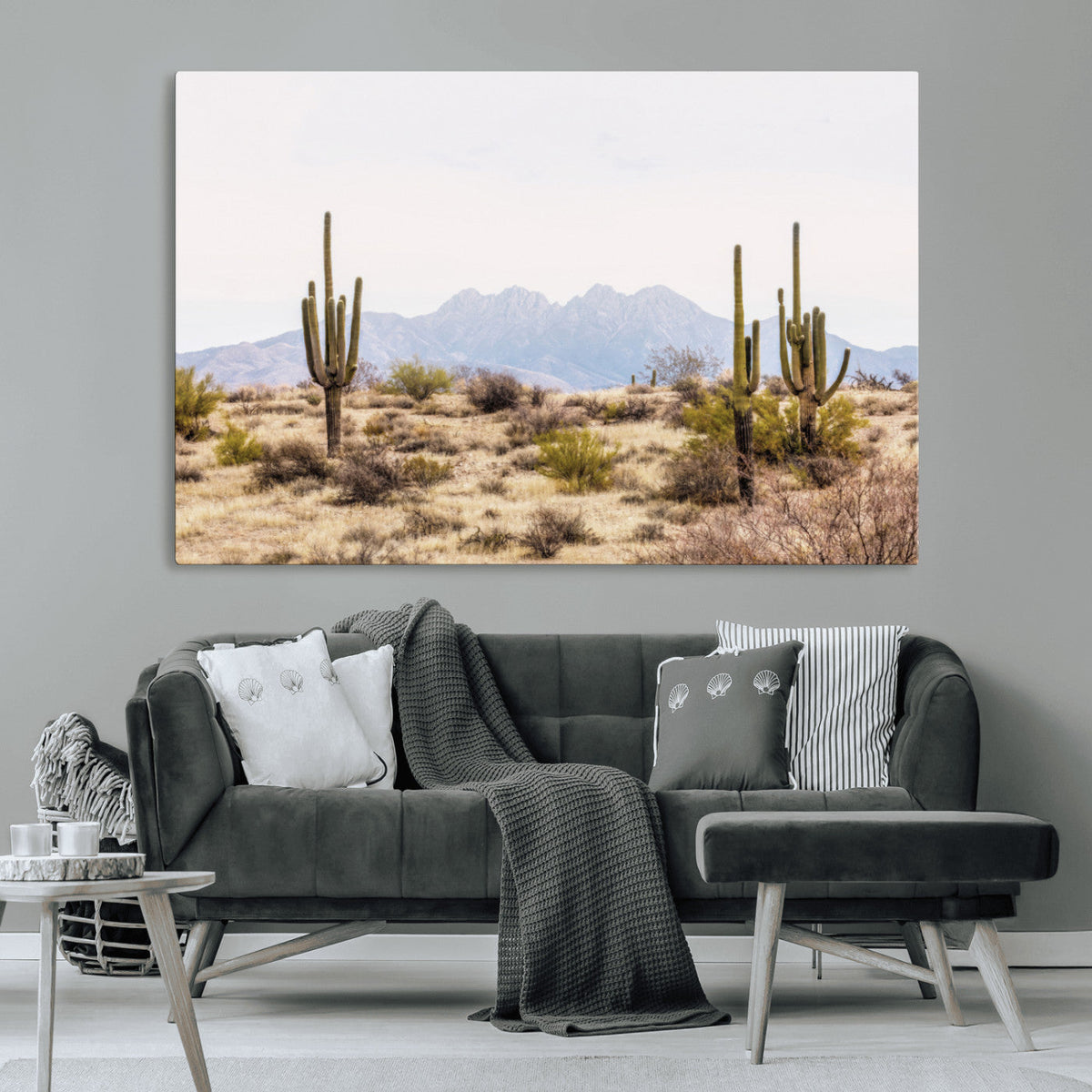 Arizona Desert Wall Art Print | Arizona Desert Canvas Print