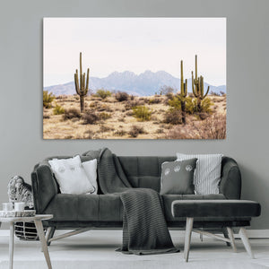 Arizona Desert Wall Art Print | Arizona Desert Canvas Print