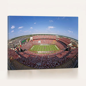 William Brice Stadium Wall Art Canvas Print – Stadium Crowd