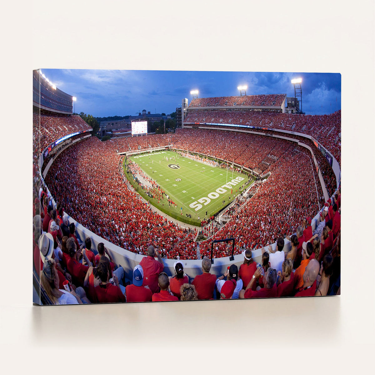 Dooley Stadium Wall Art, Sports Arena Canvas Print, Dooley