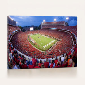 Dooley Stadium Wall Art, Sports Arena Canvas Print, Dooley