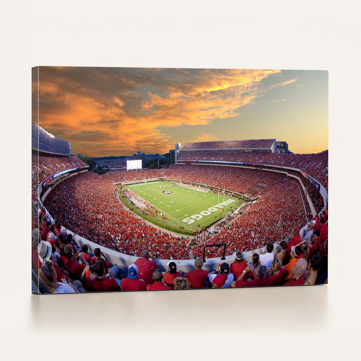 Dooley Stadium Wall Art, Sports Arena Canvas Print, Dooley