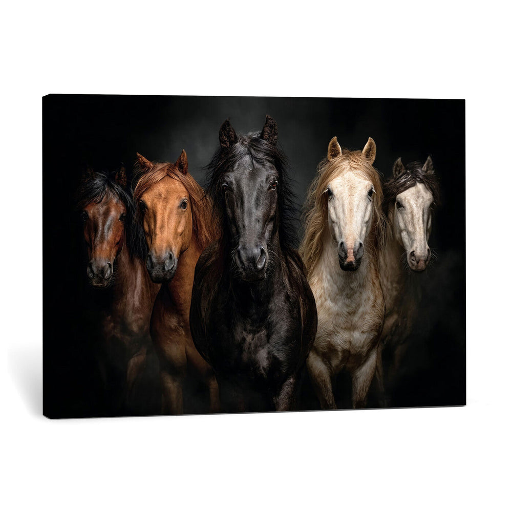 Horse Wall Art Canvas Print, Wild Horses Portrait Photography, Dramatic Equestrian Decor, Black Brown White Horse Herd, Rustic Ranch Art