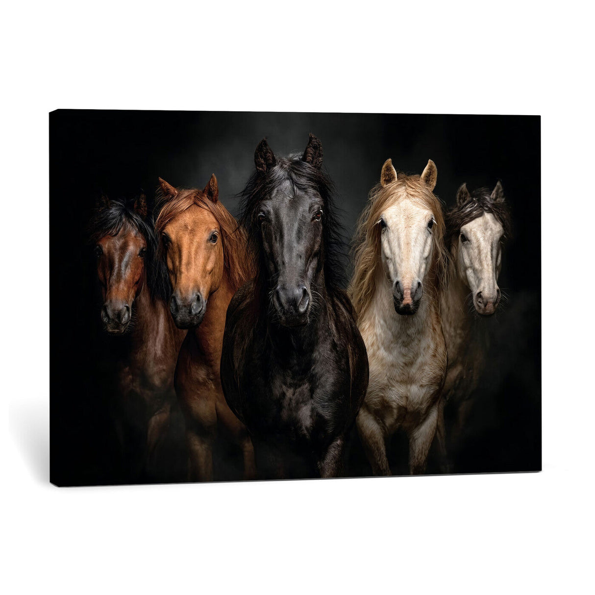Horse Wall Art Canvas Print, Wild Horses Portrait Photography, Dramatic Equestrian Decor, Black Brown White Horse Herd, Rustic Ranch Art