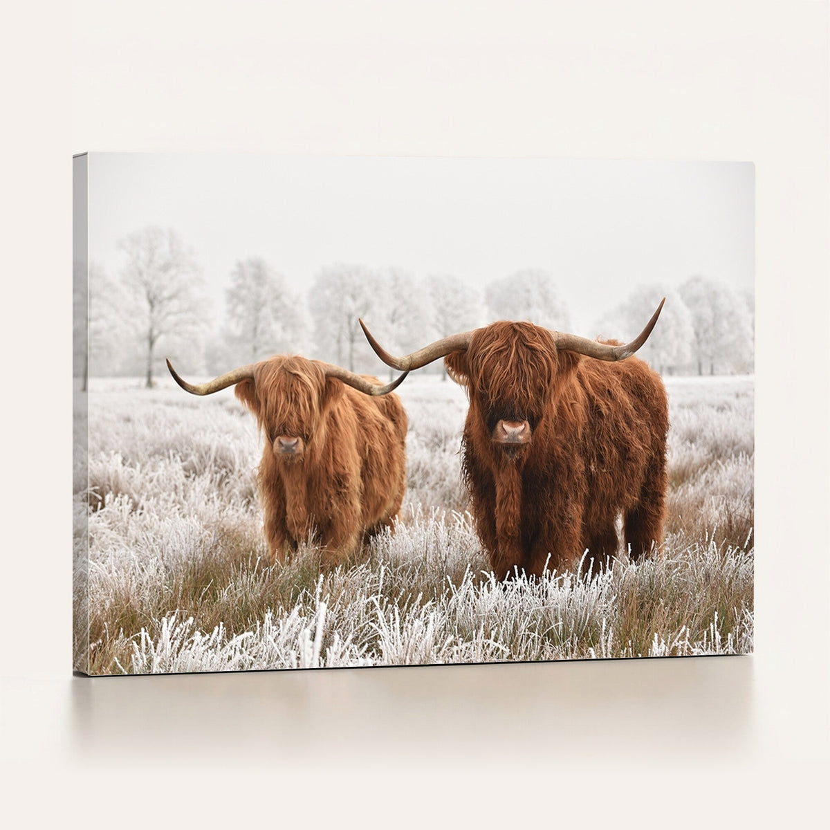 Longhorn Cattle Wall Art Canvas Print, Framed Farmhouse