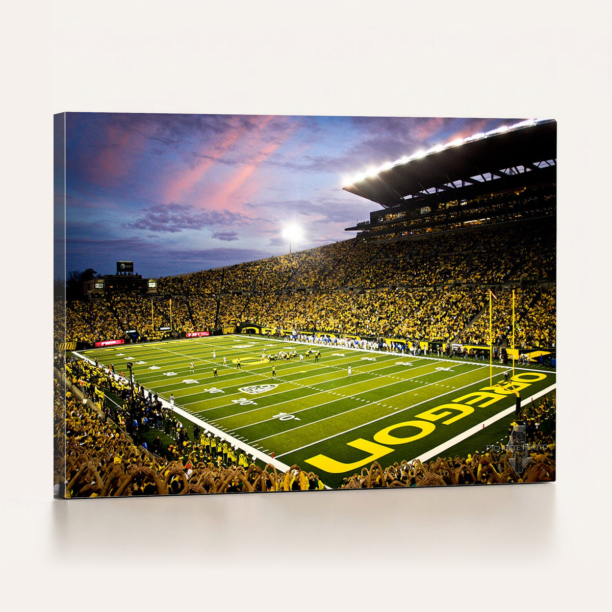University of Oregon Ducks Football Team Print - Eugene
