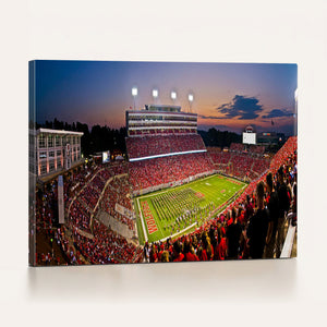 NC State Wolfpack Football Team Print - Raleigh