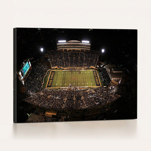 Wake Forest University Demon Deacons Canvas Printi, Football