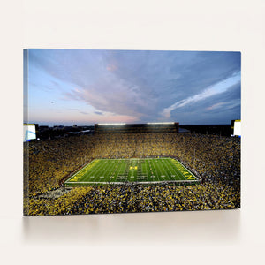 University of Michigan Wolverines Football Team Print - Ann