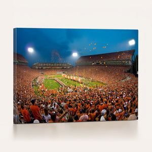Clemson University Tigers Football Team Print - Clemson