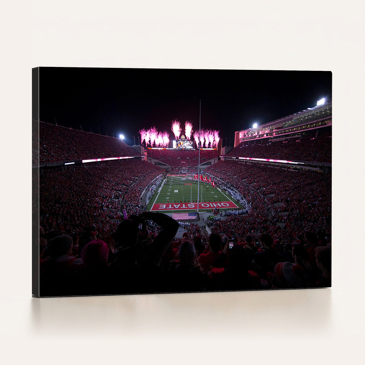 Ohio State University Buckeyes Football Team Print -