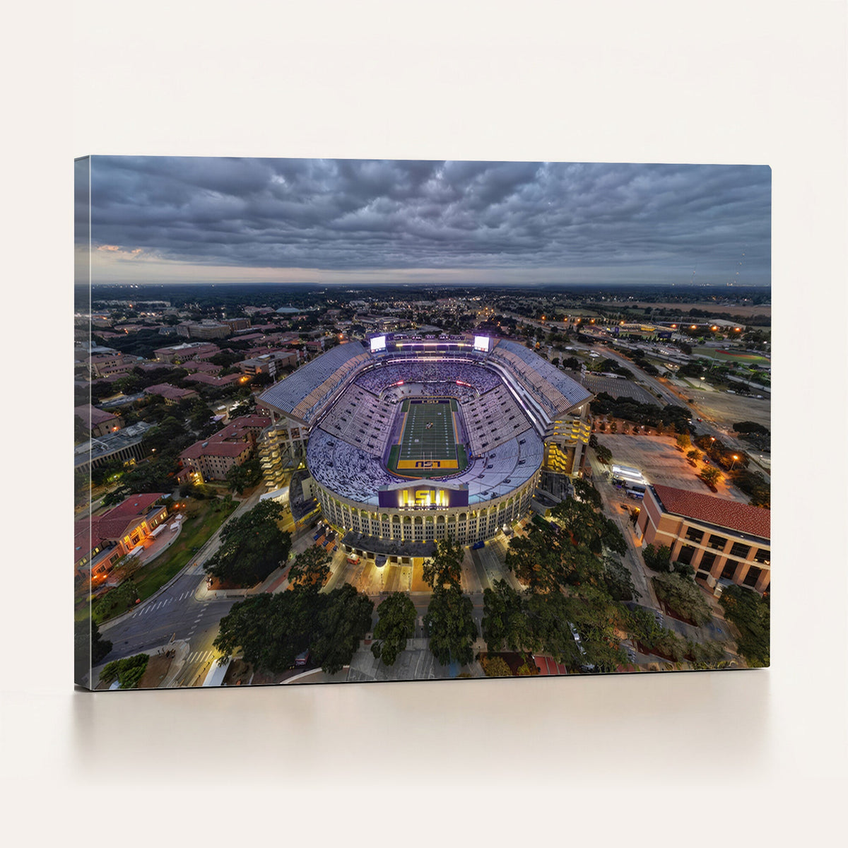 The Louisiana State University Tigers Football Team Print -