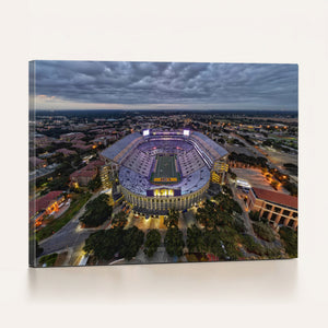 The Louisiana State University Tigers Football Team Print -