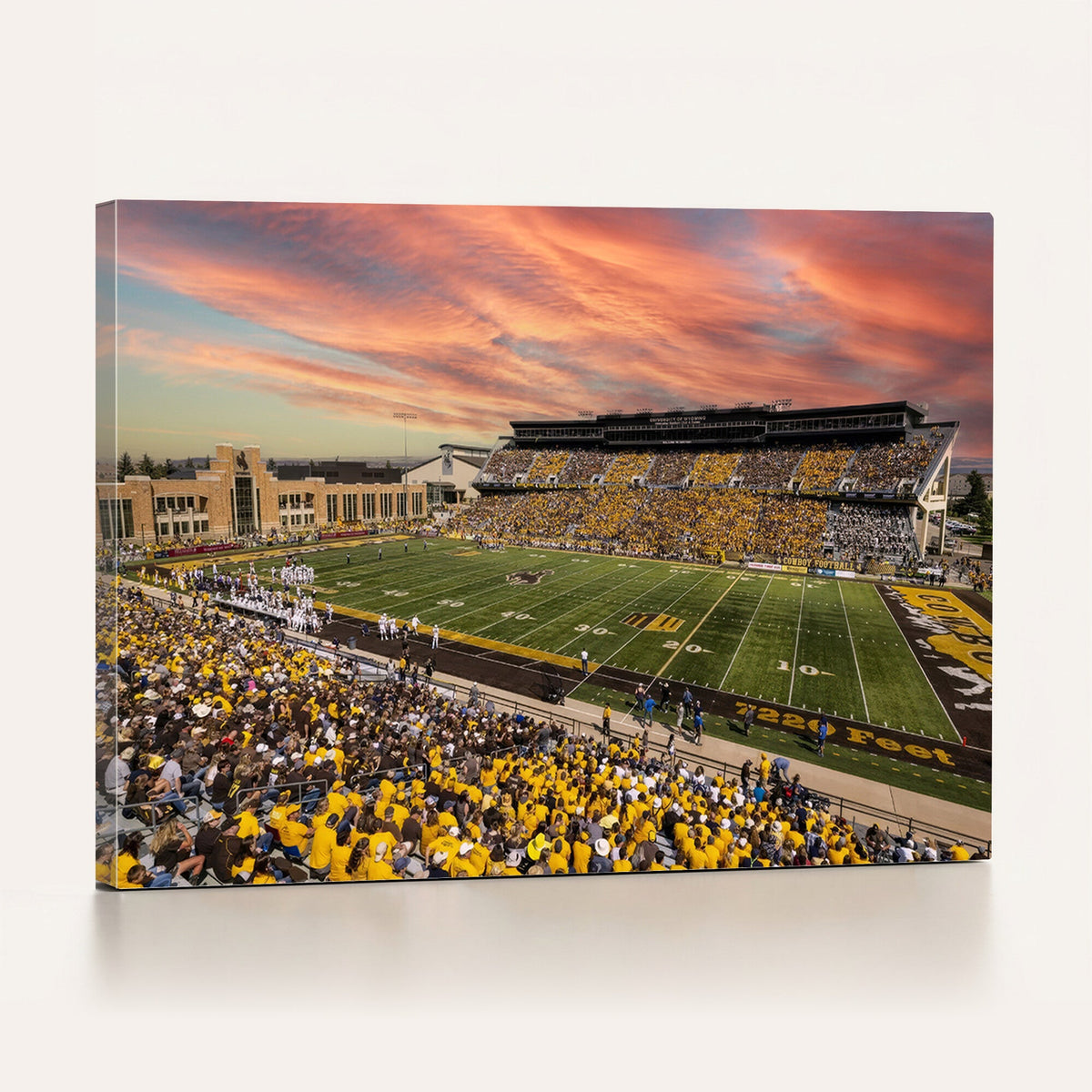 University of Wyoming Cowboys Football Team Print - Laramie