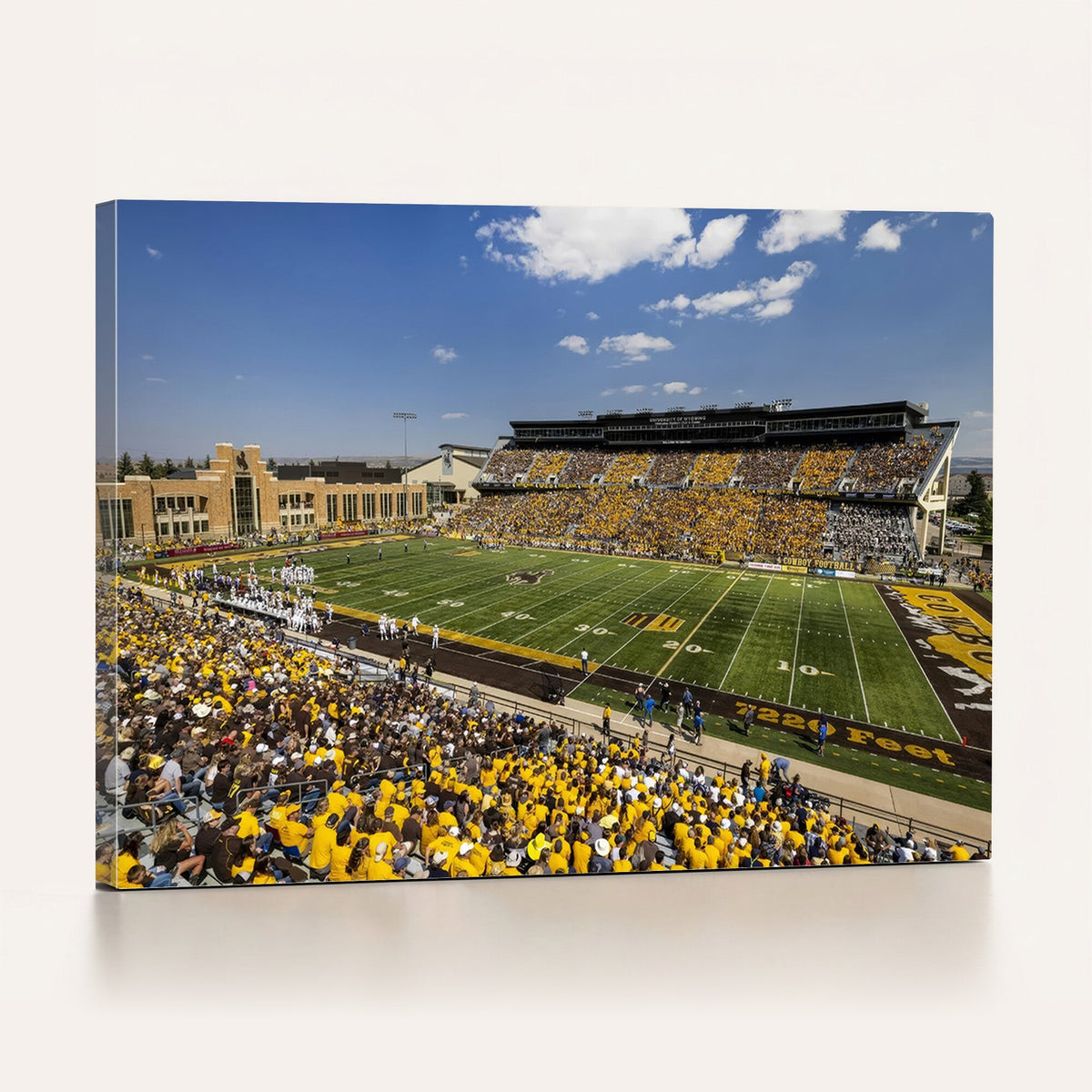 University of Wyoming Cowboys Football Team Print - Laramie