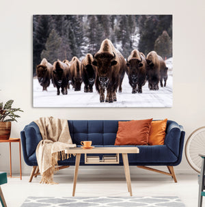 Bison Wall Art Canvas Print- Bison Herd Canvas Wall Art –