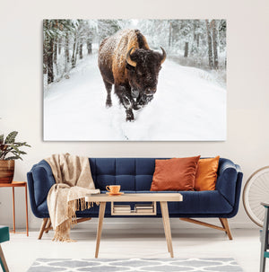 Bison Wall Art Canvas Print For Farmhouse, Animal Canvas