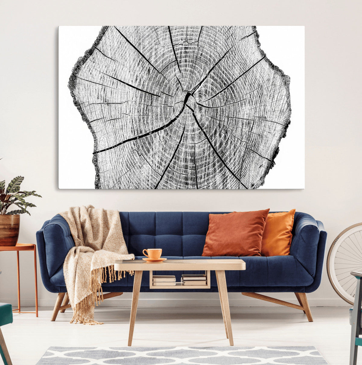 Rustic Tree Ring Wall Art Canvas Print – Framed and Ready to