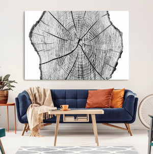 Rustic Tree Ring Wall Art Canvas Print – Framed and Ready to