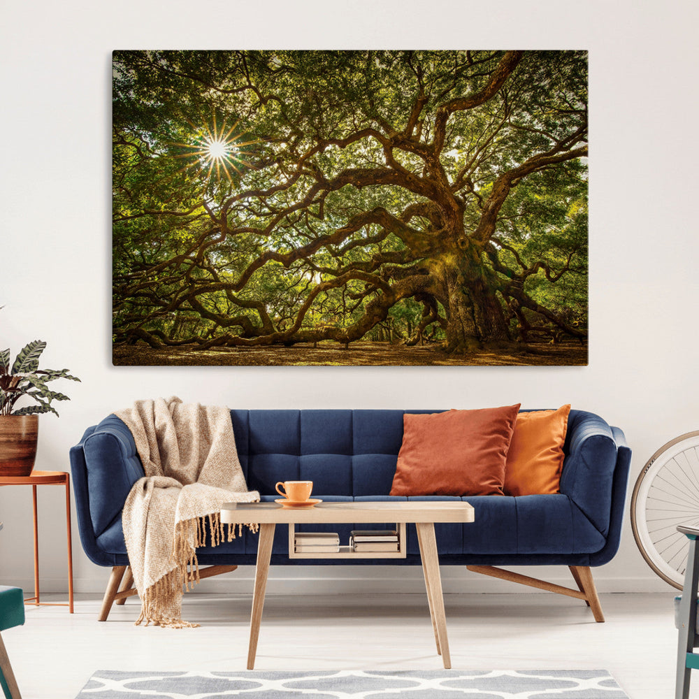 Ancient Angel Oak Tree Art Sunburst Canvas Print-