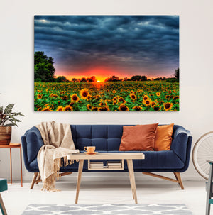 Golden Sunflower Field at Sunset – Breathtaking Sky and