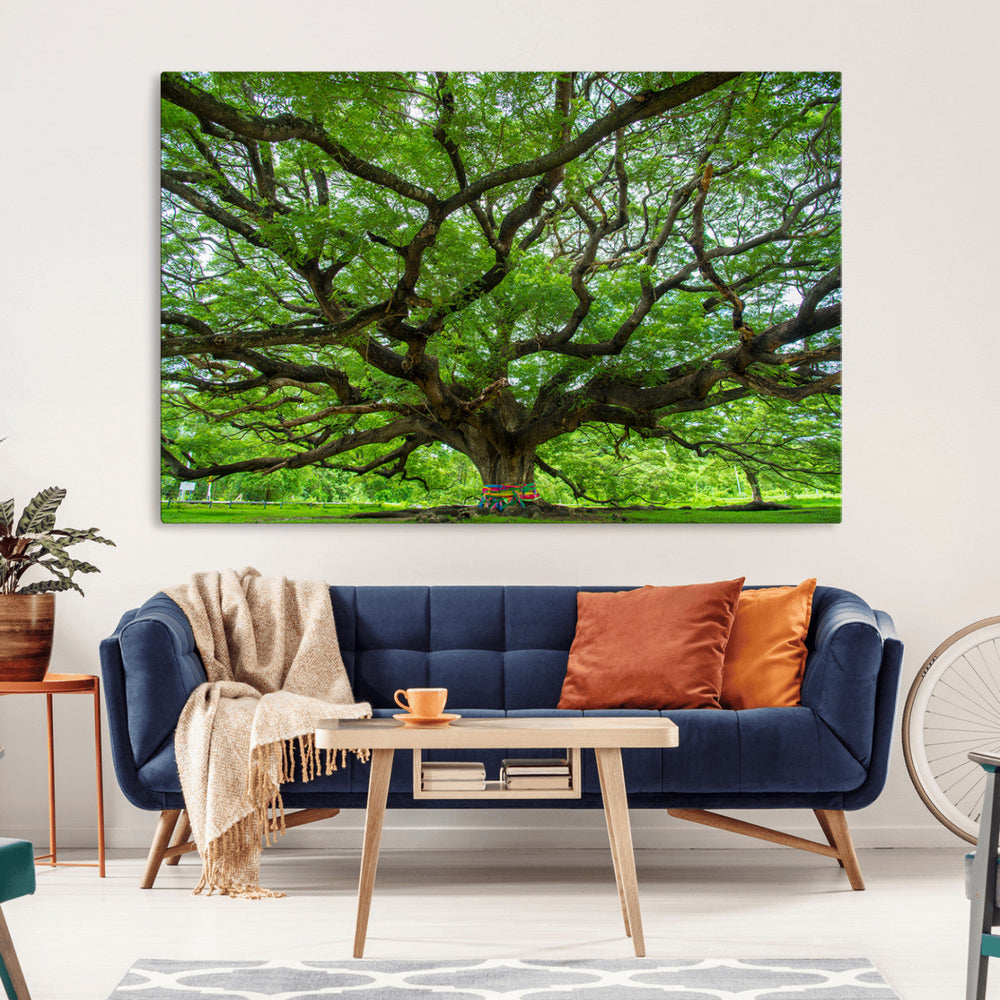Angel Oak Tree Wall Art Canvas Print – Framed Majestic