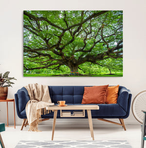 Oak Tree Wall Art Print, Forest Canvas Wall Art for Home and