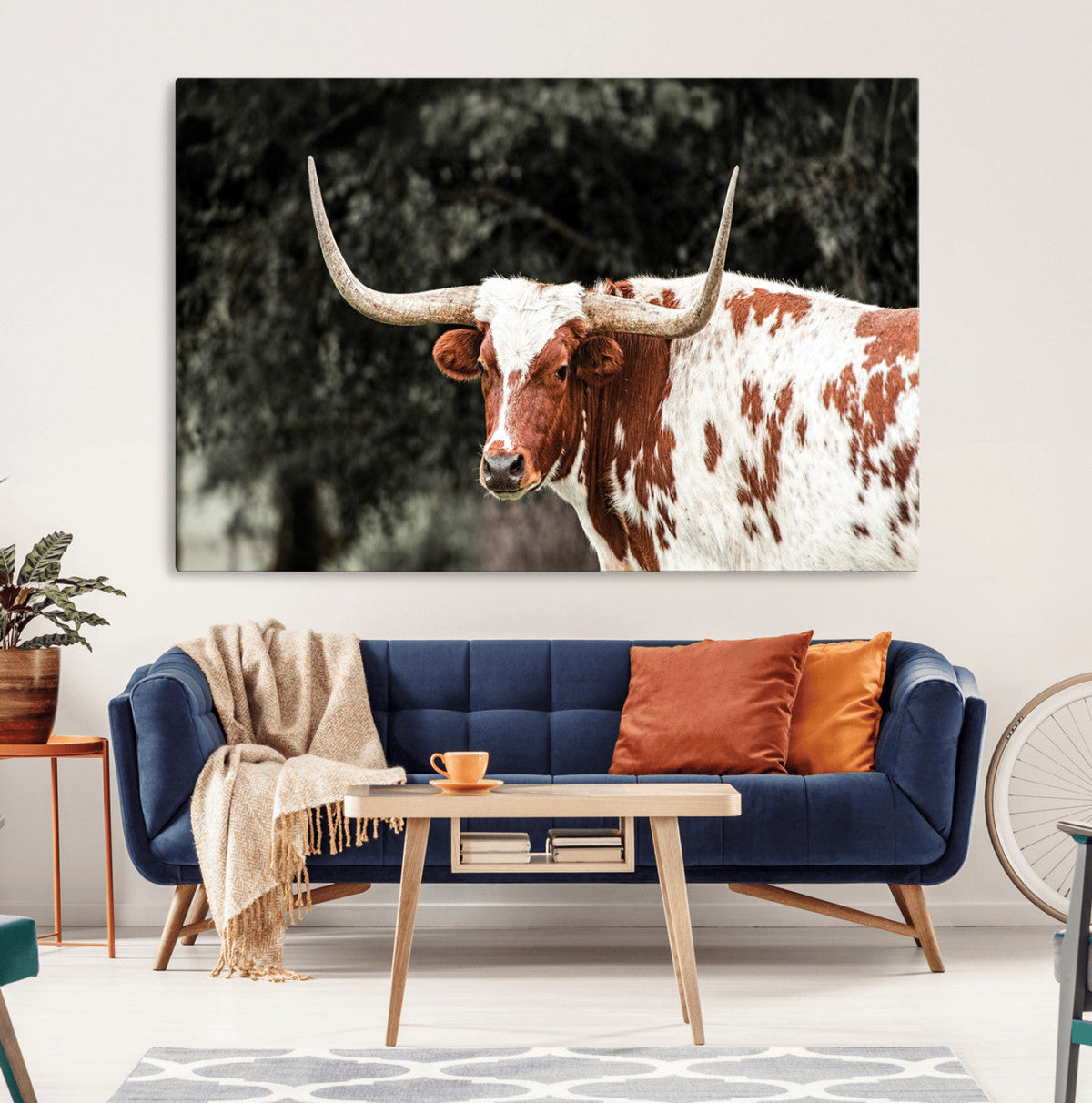Texas Longhorn Wall Art Canvas Print – Framed Spotted Bull
