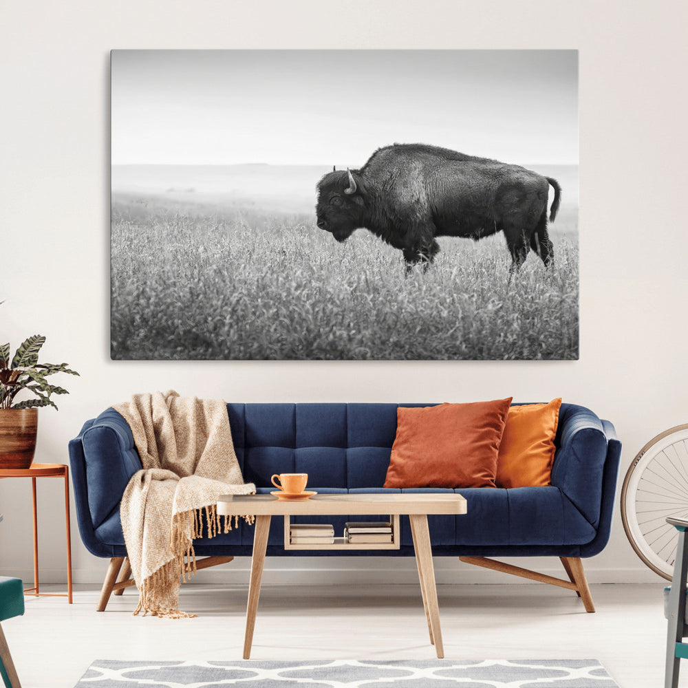 Bison in Prairie Wall Art Canvas Print – Framed Rustic