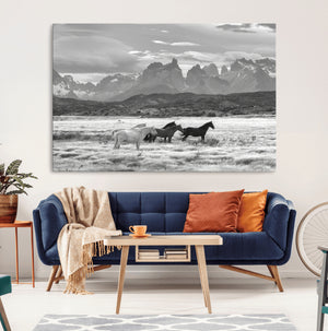 Wild Horses Wall Art Canvas Print – Framed Black and White