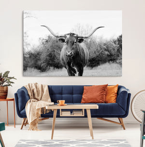 Longhorn Photography Wall Art Canvas Print – Framed Western