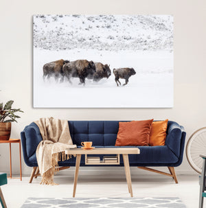 Bison Herd Decor Wall Art Canvas Print – Framed Snowy Bison
