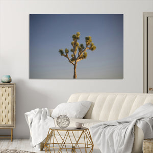 Joshua Tree Wall Art Canvas Print – Framed Southwestern