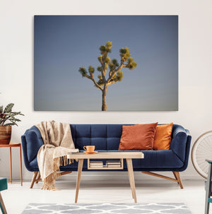 Joshua Tree Wall Art Canvas Print – Framed Southwestern