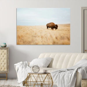 Buffalo Wall Art Canvas Print – Framed Western Wildlife