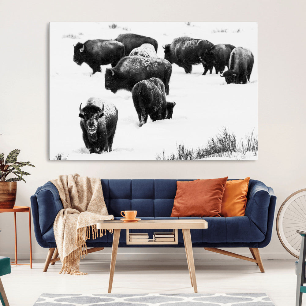 Buffalo Herd Wall Art Canvas Print – Framed Black and White