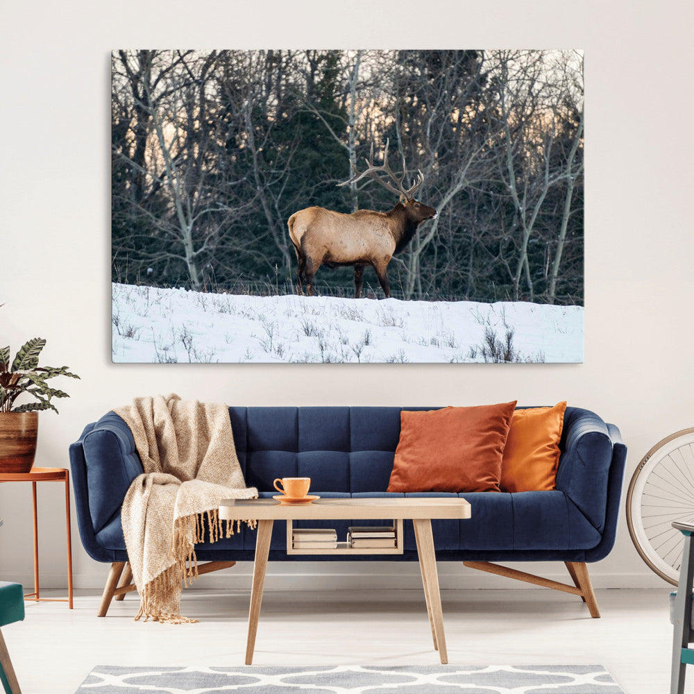 Wild Elk Wall Art Canvas Print – Framed Winter Wildlife