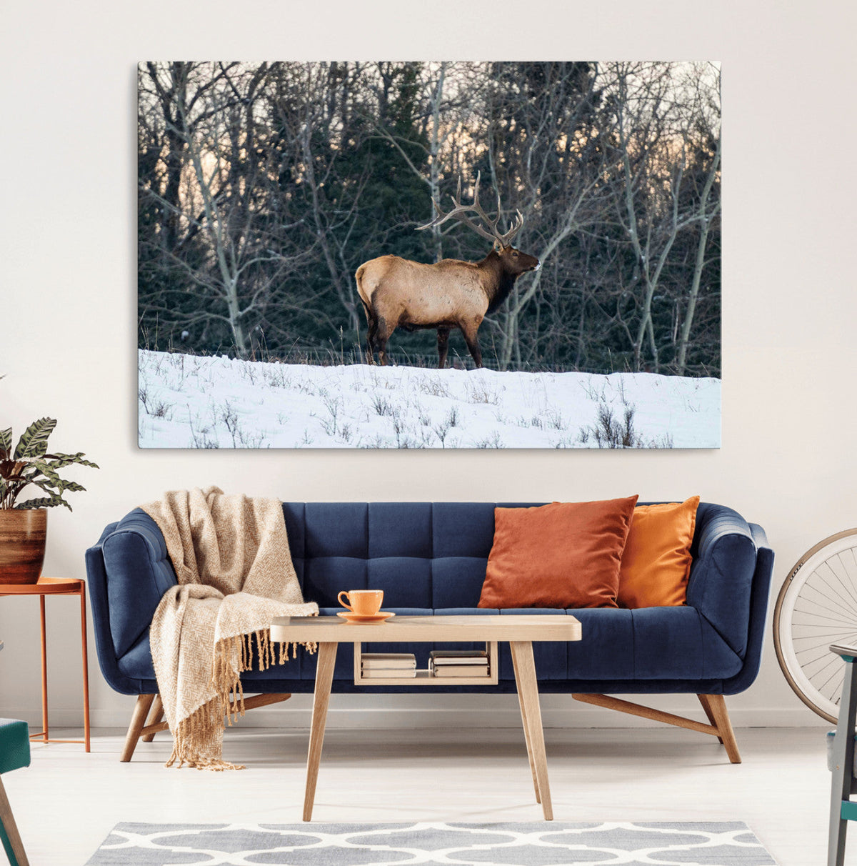 Wild Elk Wall Art Canvas Print – Framed Winter Wildlife
