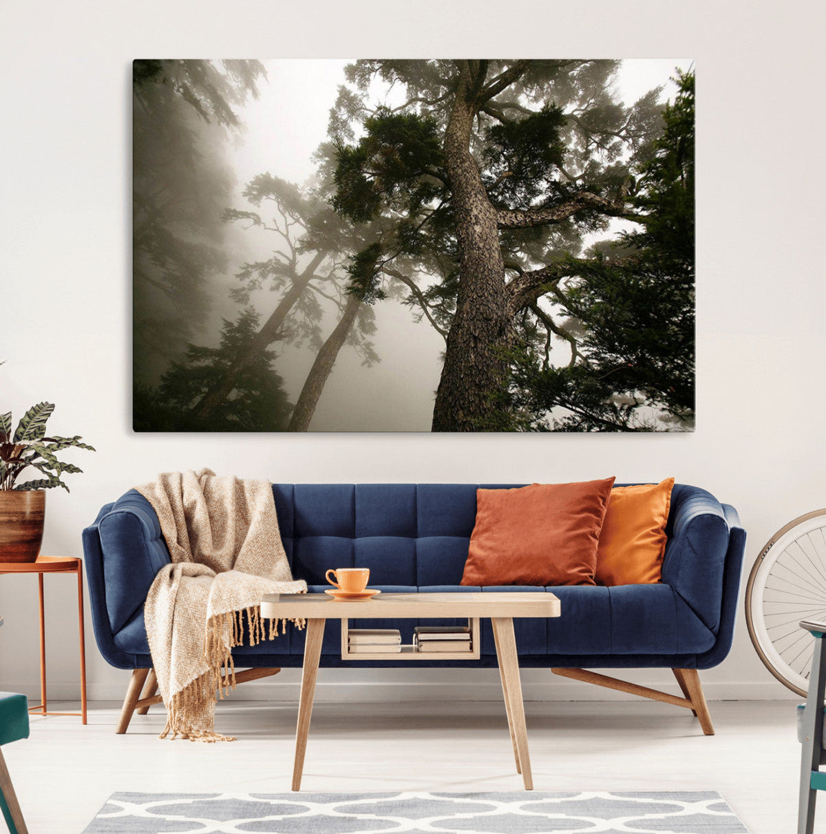 Misty Forest Wall Art Canvas Print, Tall Trees and Foggy