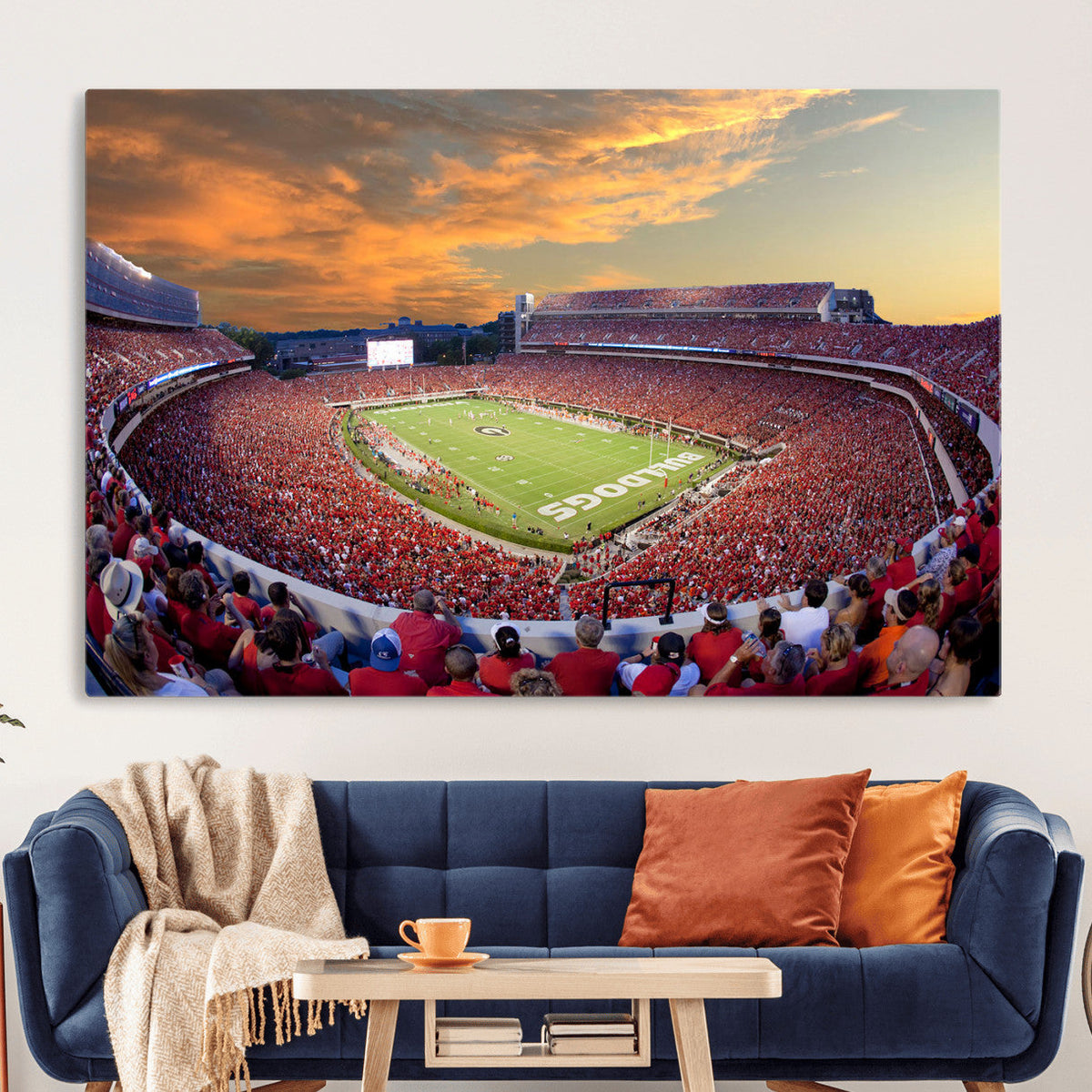 Dooley Stadium Wall Art, Sports Arena Canvas Print, Dooley