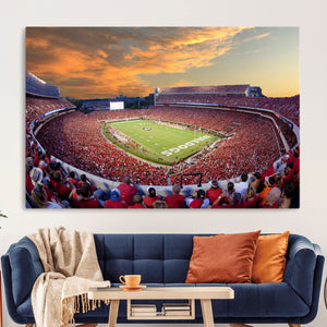 Dooley Stadium Wall Art, Sports Arena Canvas Print, Dooley