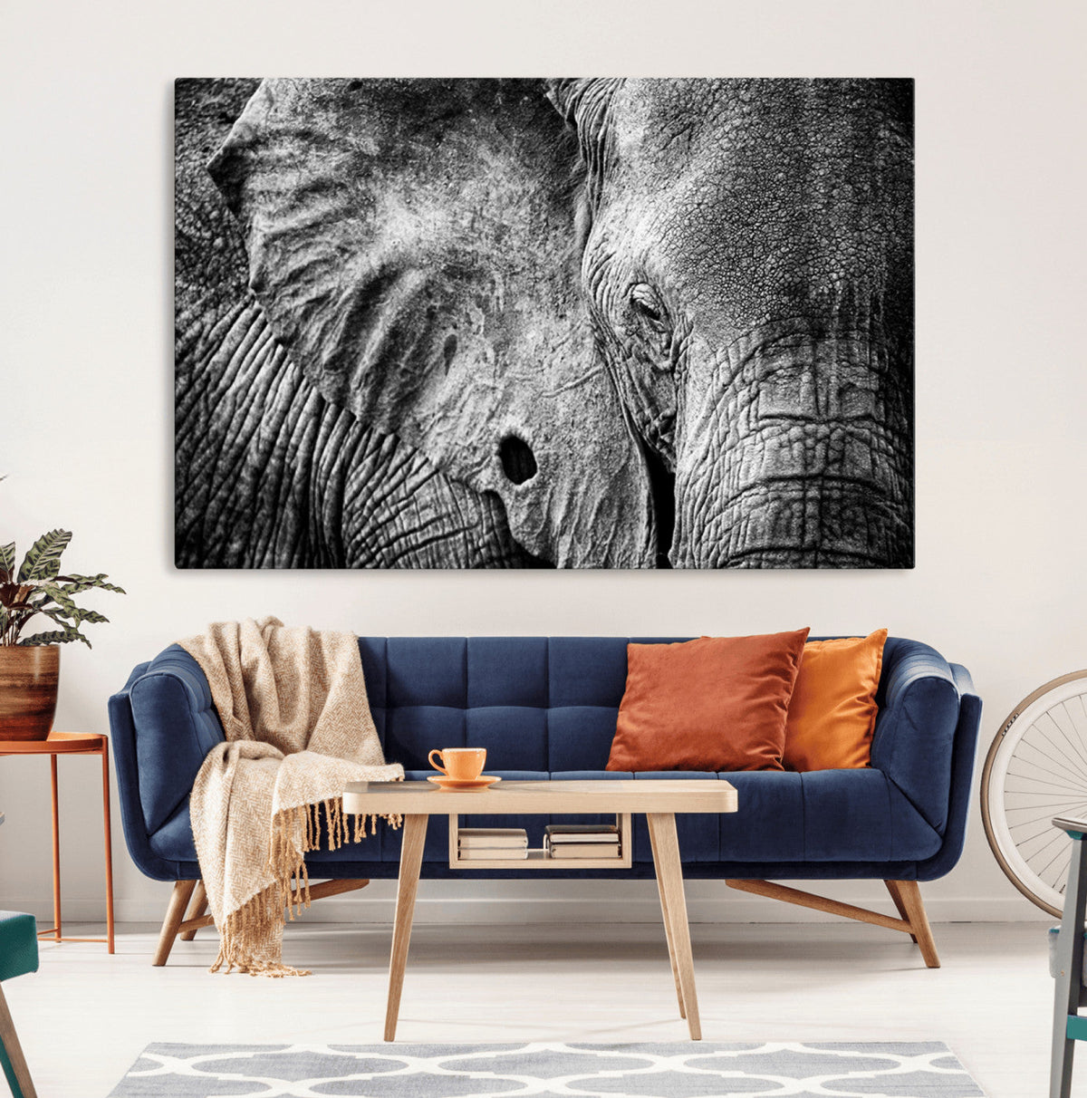 Wild Old Elephant Wall Art Canvas Print
