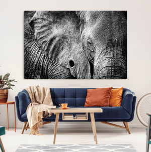 Wild Old Elephant Wall Art Canvas Print