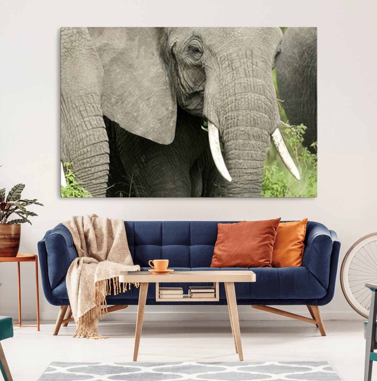 Wild Elephant Wall Art Canvas Print