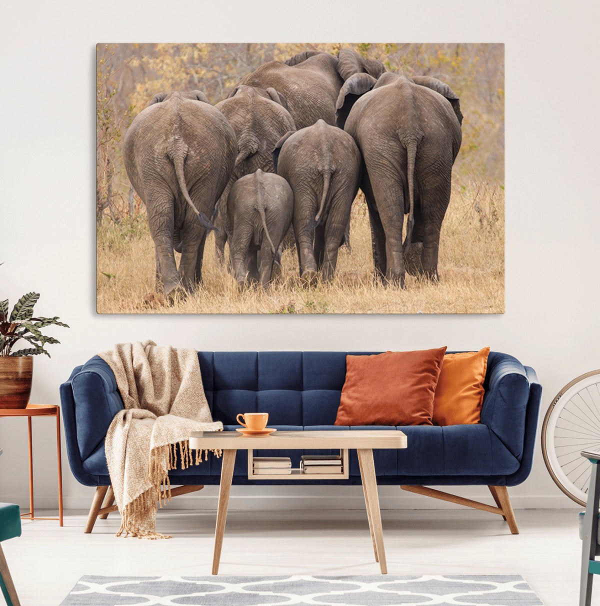 Wild Elephant Wall Art Canvas Print